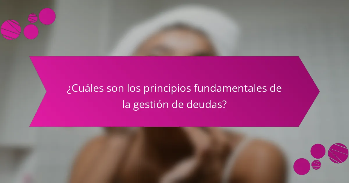¿Cuáles son los principios fundamentales de la gestión de deudas?